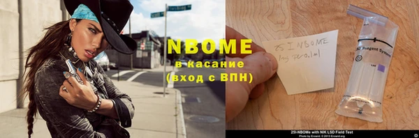 прущие грибы Арсеньев
