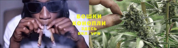 прущие грибы Арсеньев