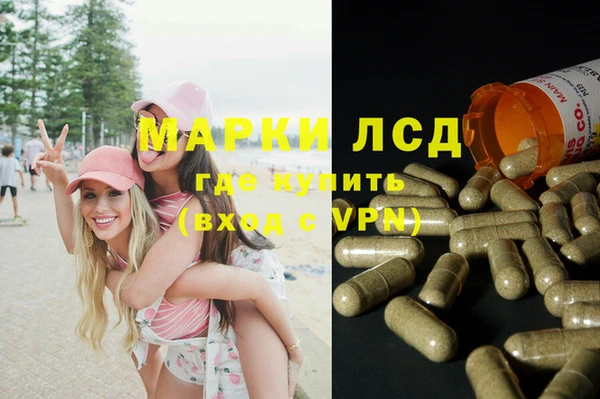 прущие грибы Арсеньев