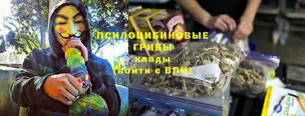 индика Снежинск