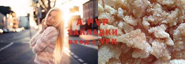 прущие грибы Арсеньев