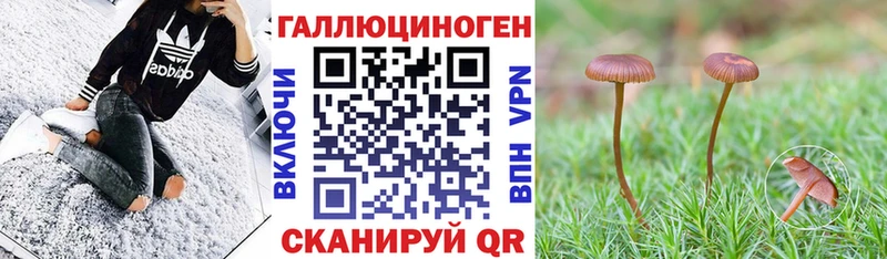 Галлюциногенные грибы прущие грибы  цена наркотик  Скопин 